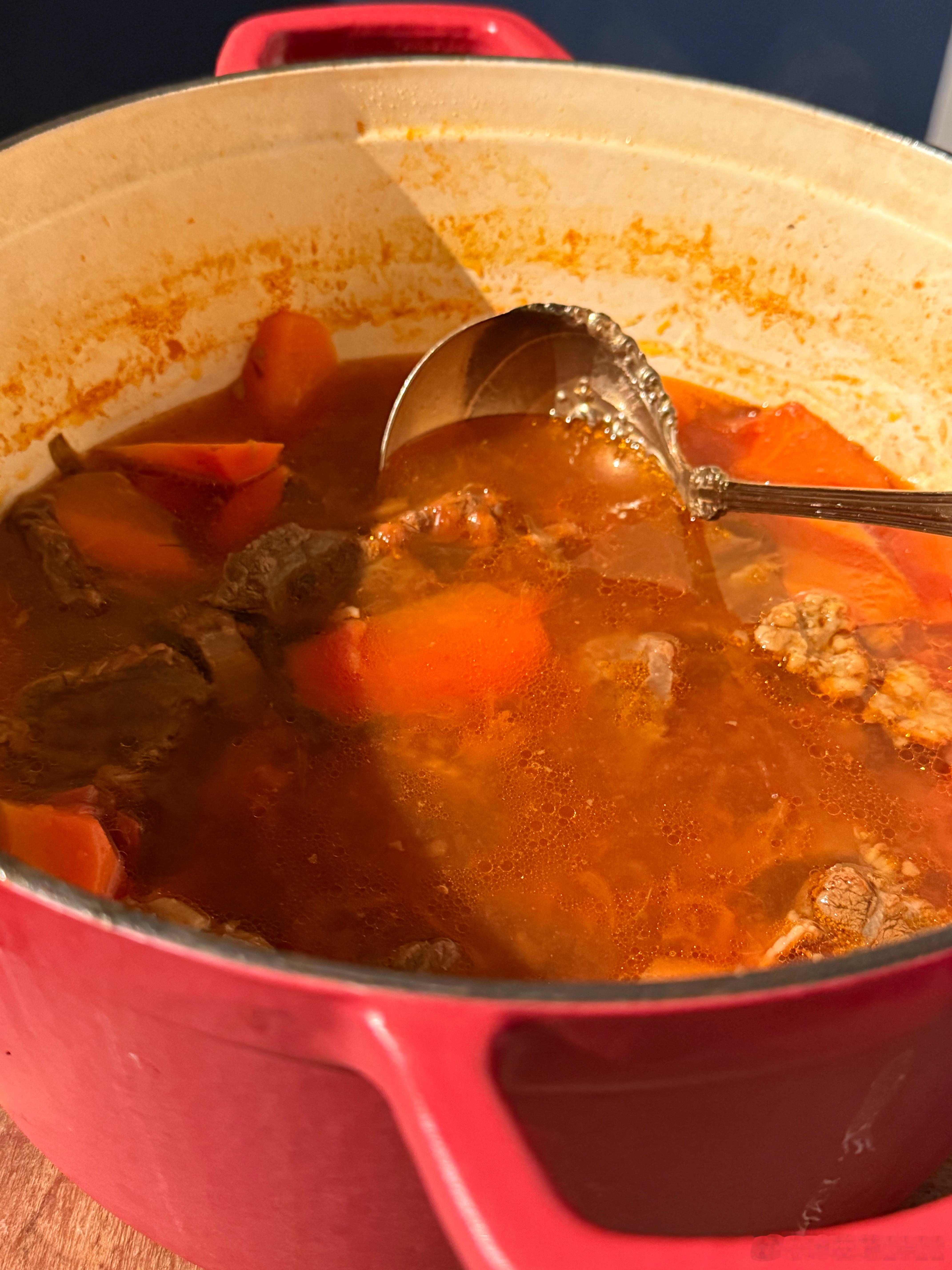 昨天晚上做的一锅西红柿炖牛肉，今天的晚餐就是它，刚到家的小同学吃了，赞不绝口，问