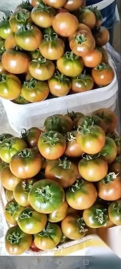 离婚后回娘家的第10天，我哭着搬了出去。前夫留了房留了孩子，给了六十万补偿—