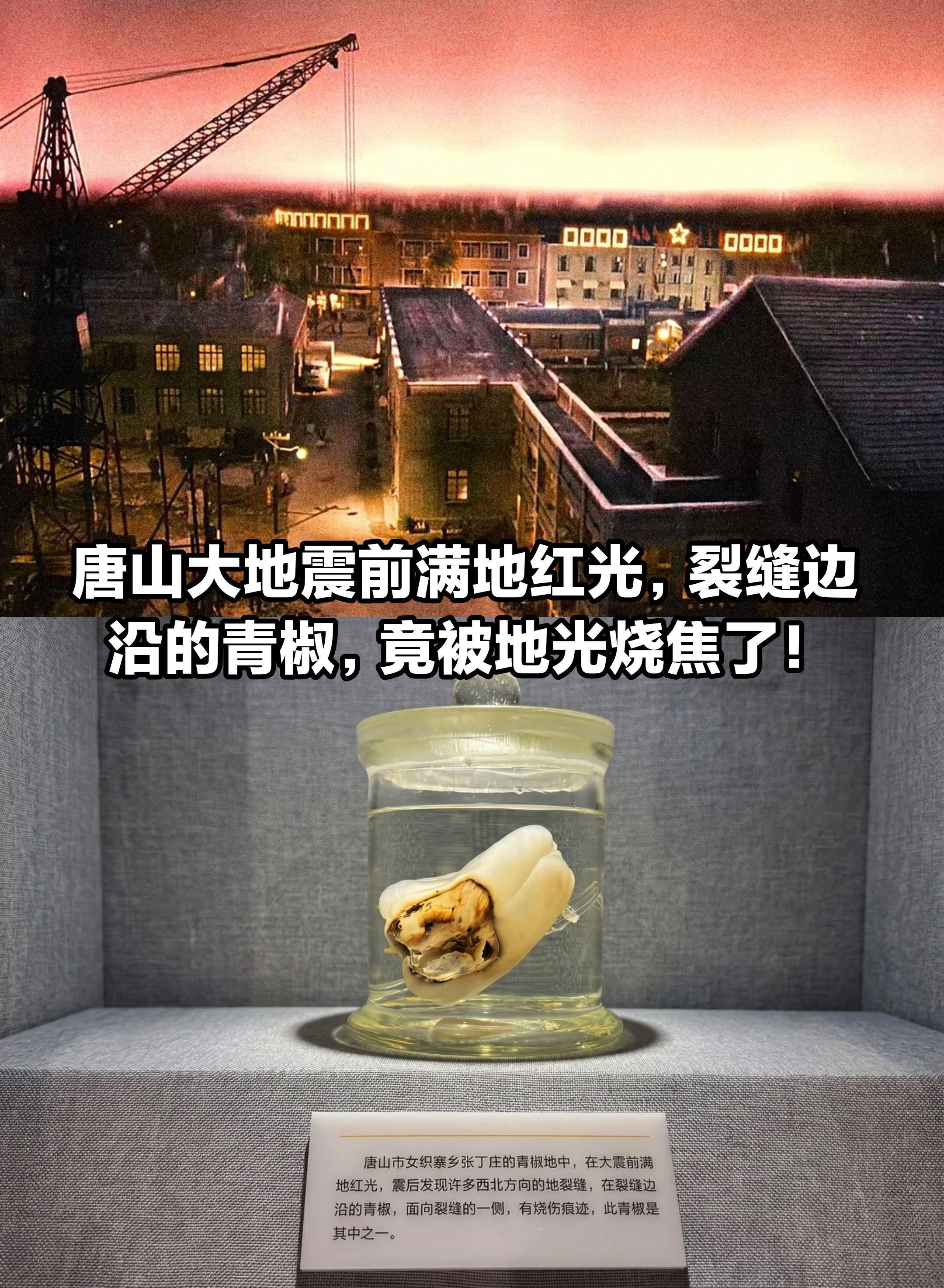 唐山大地震前满地红光，被地光烧焦的青椒。