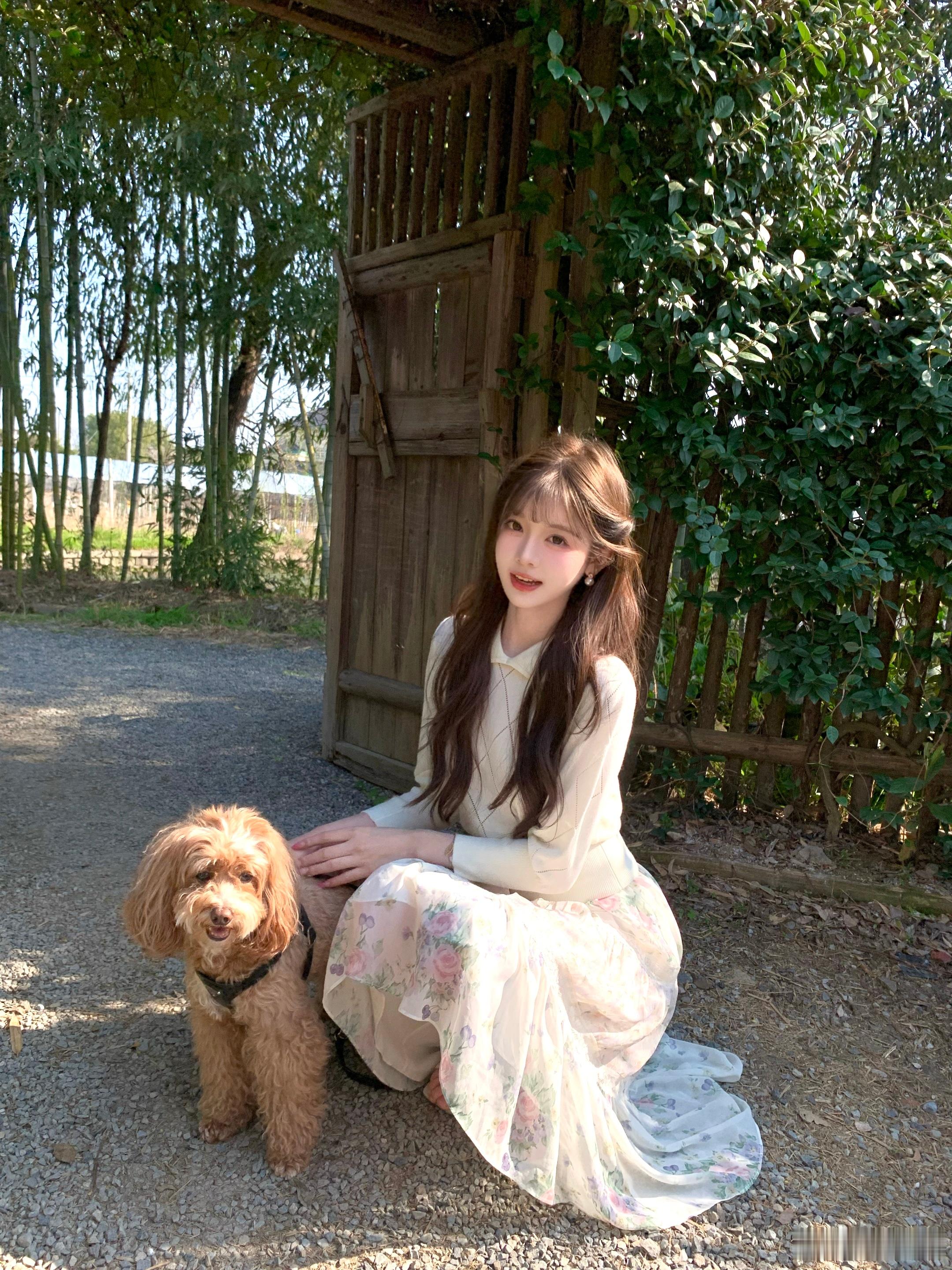 ☀️🐶🫧阳光小狗还有我在春天总是会明媚一点…来拍照了﻿﻿今天穿什么人像