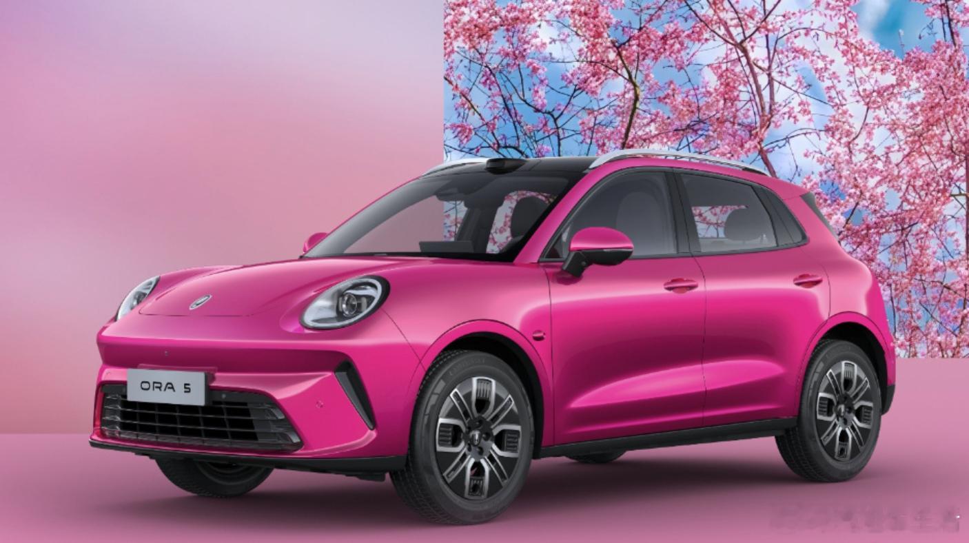 求真长城欧拉5上市发布会欧拉5这波定价太良心了吧！9.18万起的纯电SUV，居然