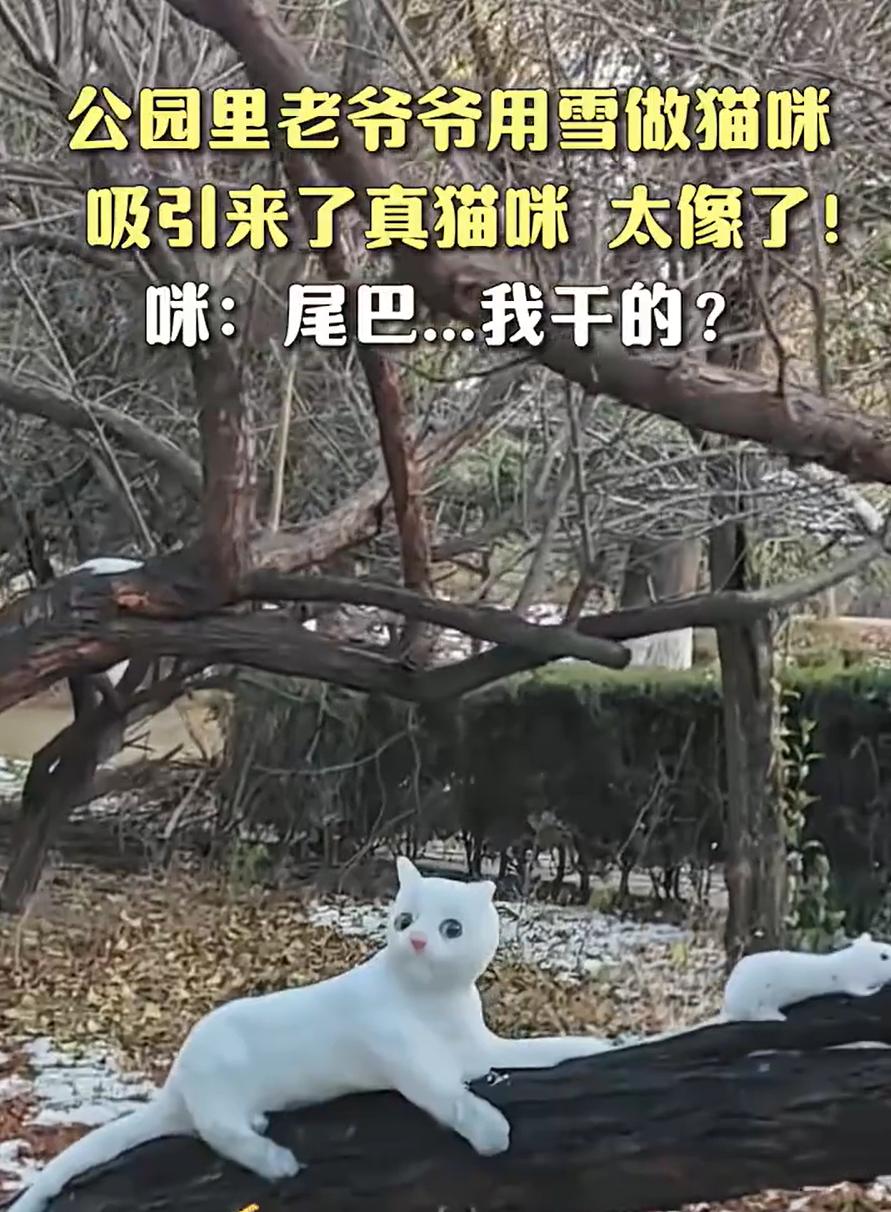“太逼真了！”河南，初雪过后一位老爷爷心血来潮用雪做的假猫假老鼠，没想到，因为做