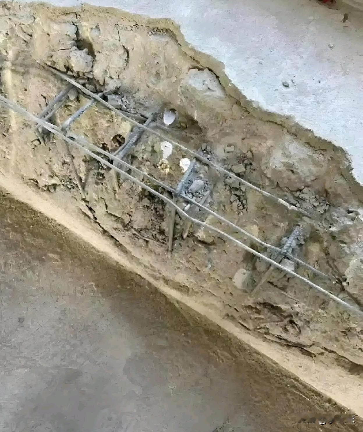 现在的业主真把房子当自己家了。