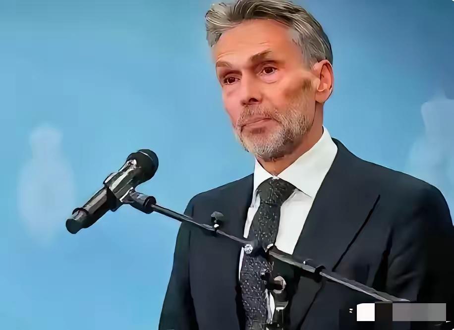 荷兰这次对中国的强硬，超出了外界想象。原本以为，随着中美协议的落地，安世荷兰和安