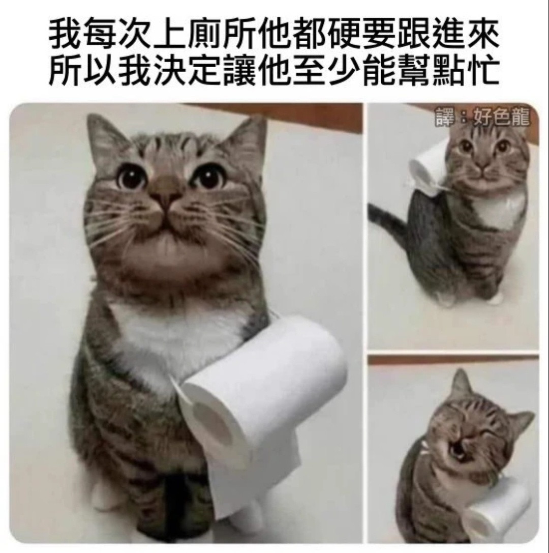 一些可爱meme​​​