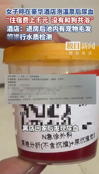 “严查到底！”近日，四川成都，一女子花费千元，带着狗住进一家豪华酒店，可女子在泡