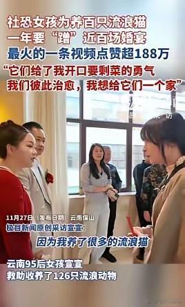 “看哭了！”云南保山，一女子为了养活收养的120多只流浪猫，一年内“蹭”了近百场