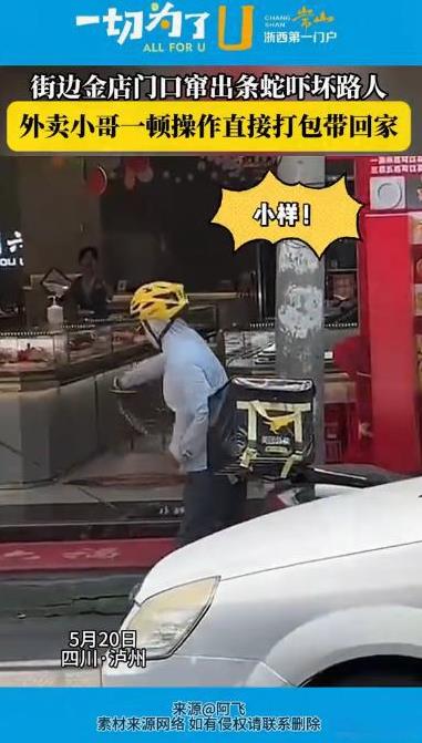 “简直是狠人！”四川泸州，一金店门口不知从哪窜出一条蛇，路人和店员都吓得不轻，店