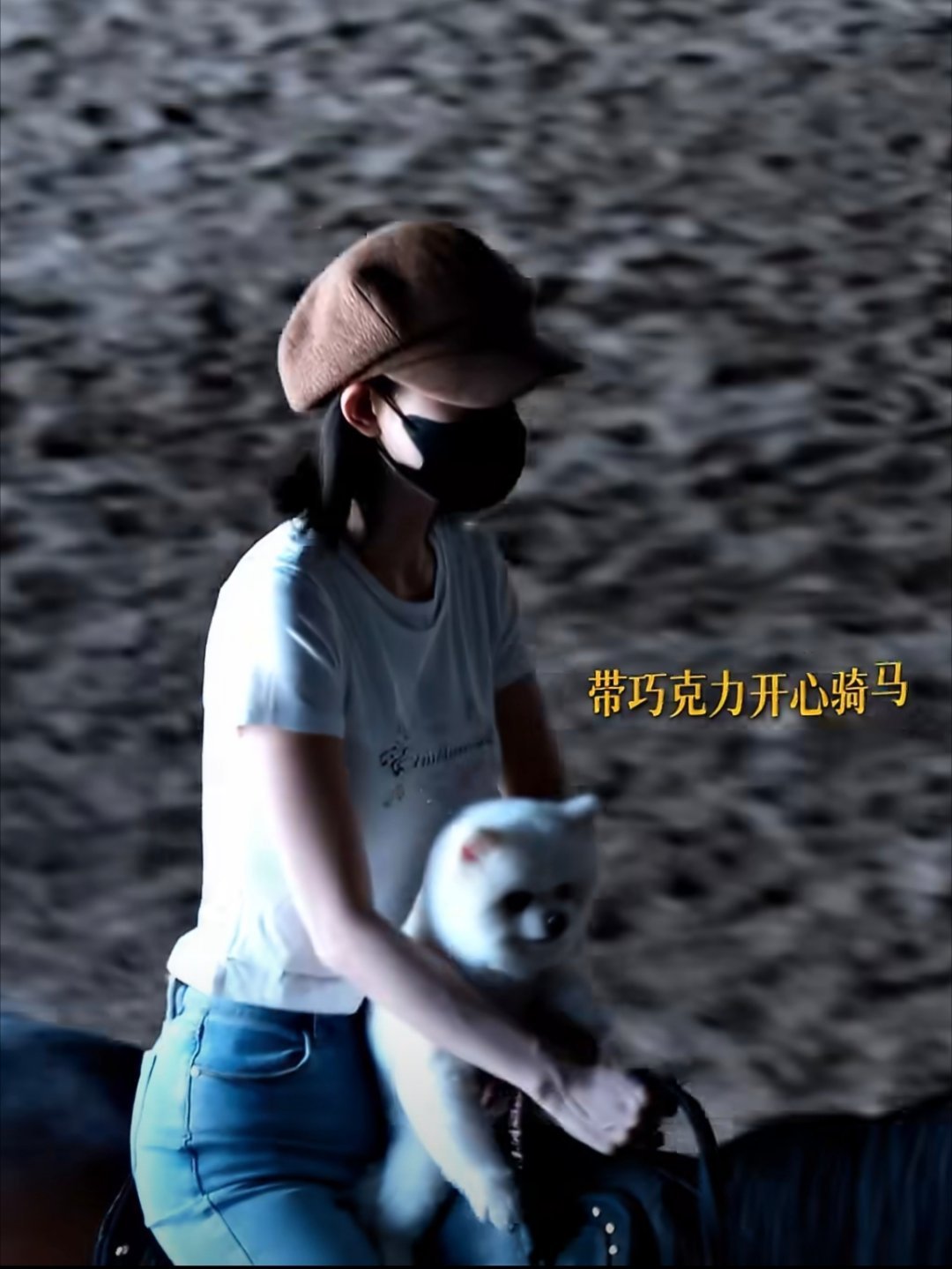 巧克力好像不是很想哈哈哈哈哈哈～