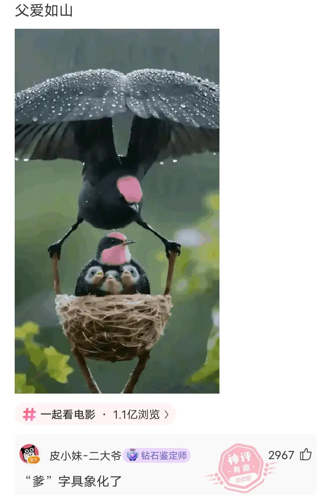 搞笑瞬间。搞笑图文