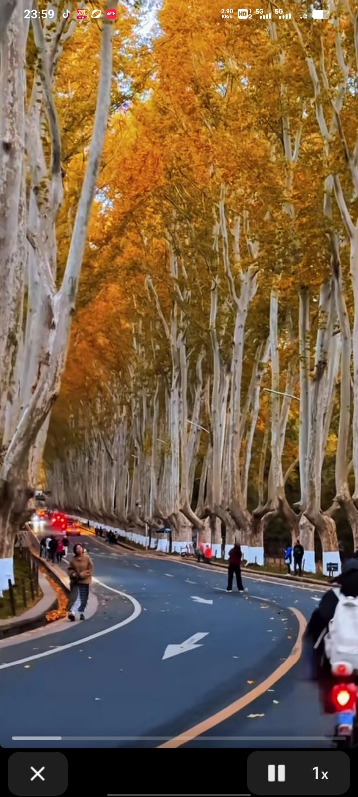 上联：秋尽冬临树千色，求下联下联；天高云淡水亦寒。