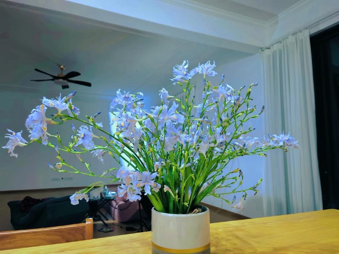 90年代堂姑毅然离婚：在保守年代，她的勇气藏着农村女性的尊严我一个堂姑，老