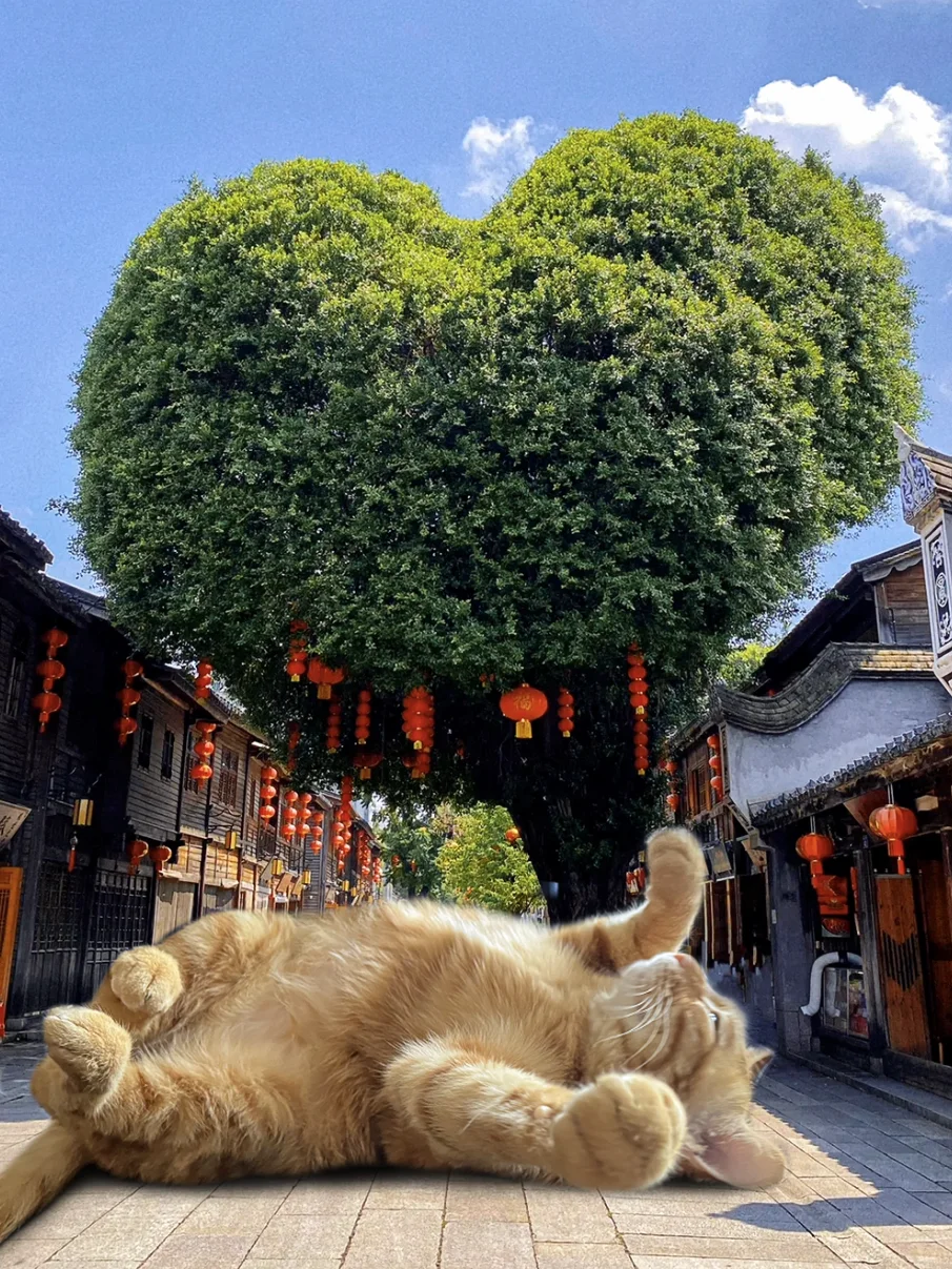 大海也和屁股合影了