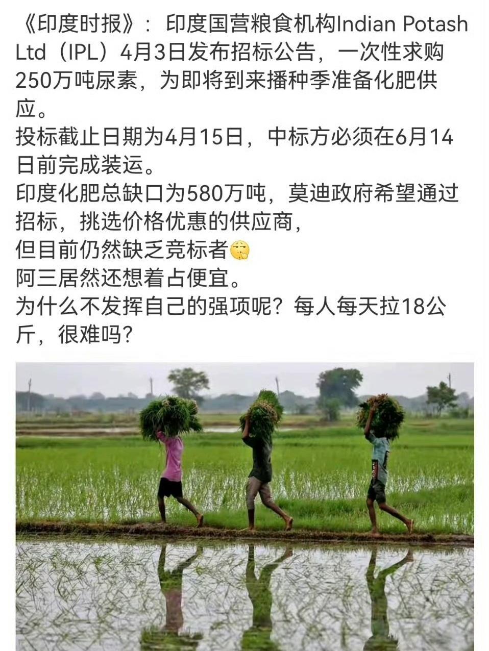 今天4月15日，印度尿素采购投标截止日期到了。无人竞标，恭喜阿三，省下一大笔钱了