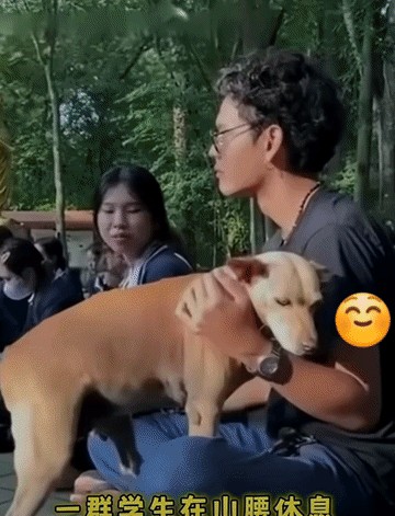 一群学生在半山腰休息，一只流浪狗就这么走过来依偎在男生怀里，旁边的女生都看笑了。