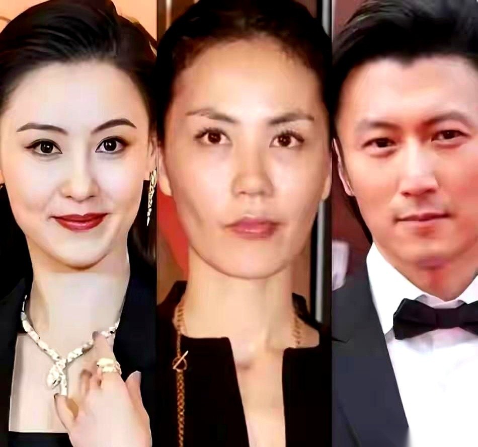 从去年开始，谢霆锋办起了一场接一场的巡回演唱会。但在拍戏这边，他除了跟吴京合作了一部《谛听》，就再没