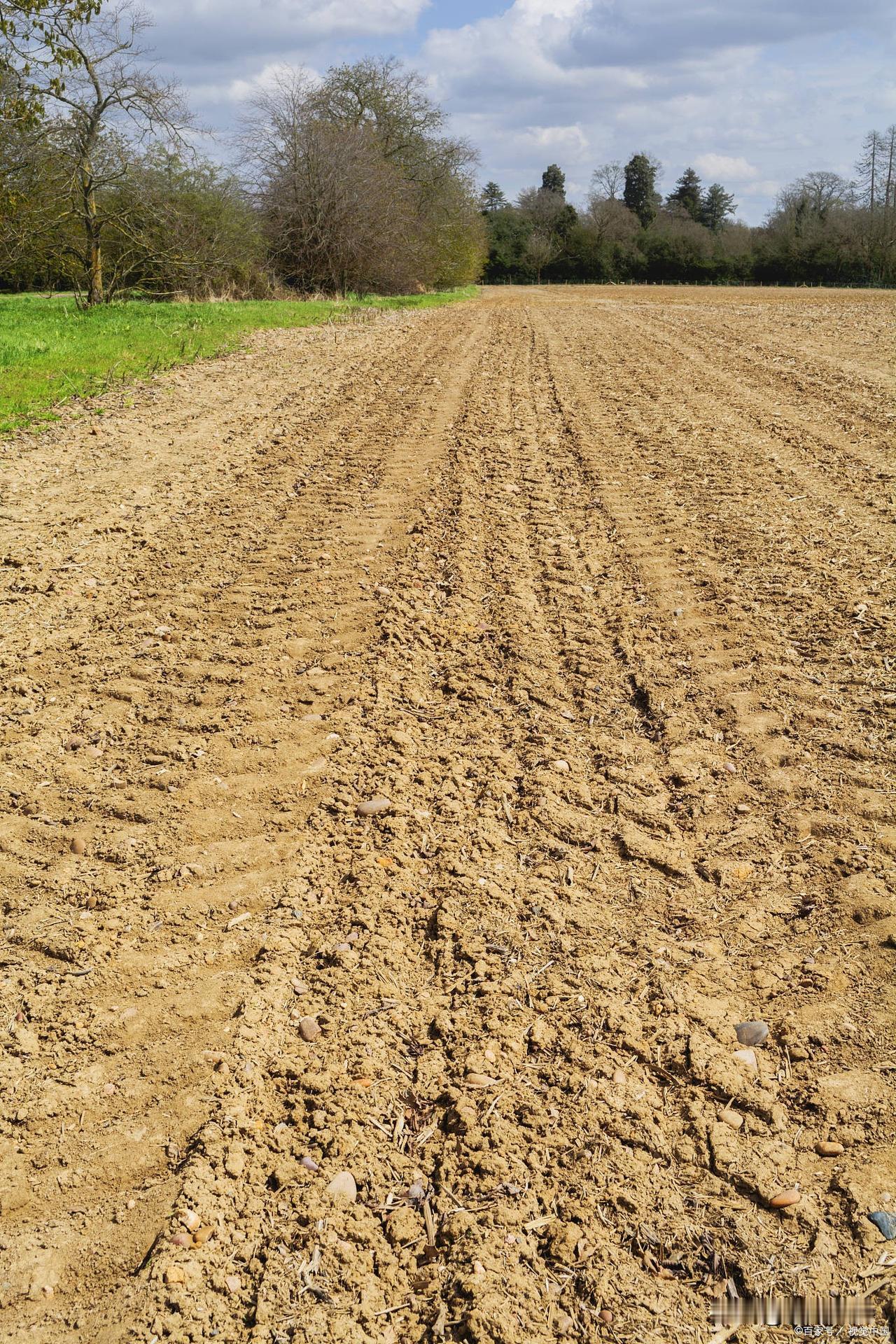 土地回收，一亩地6~7万，你卖吗？现在各省都有试点，在搞土地回收，一亩地高达