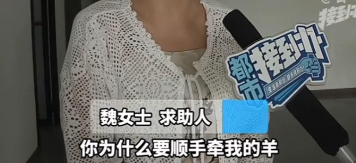 河南洛阳魏女士说：自己的一个租客一名特别漂亮的小姑娘，把她的一台电视机一台洗衣机