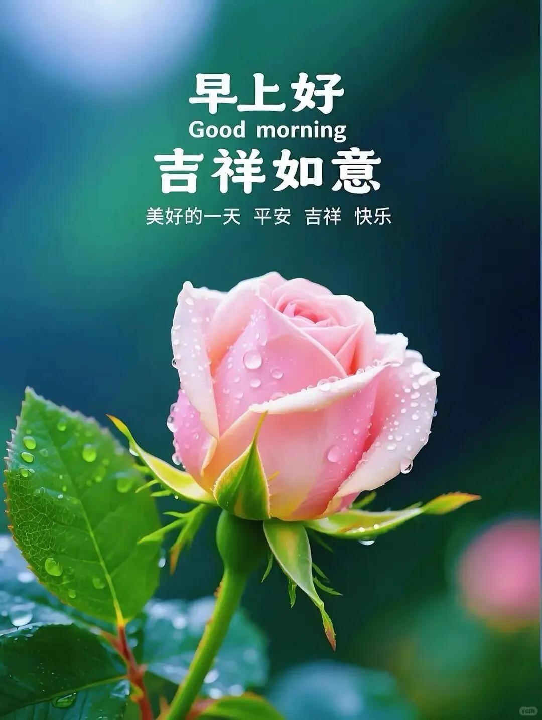 ²⁰²⁶/₀₆.₀₂周二｜一键复制发⭕，我把清晨的祝福写进文案里🍒✨①?