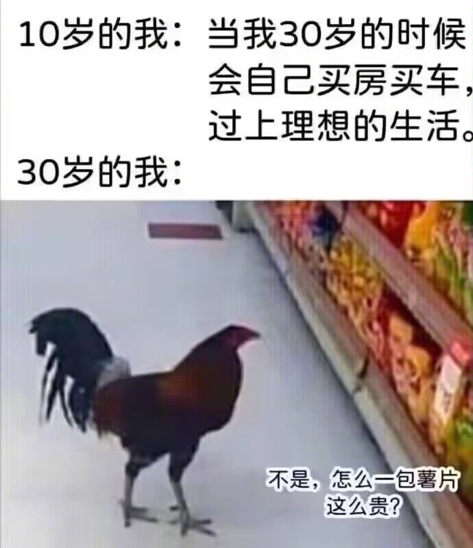不是，一包薯片这么贵？​​​