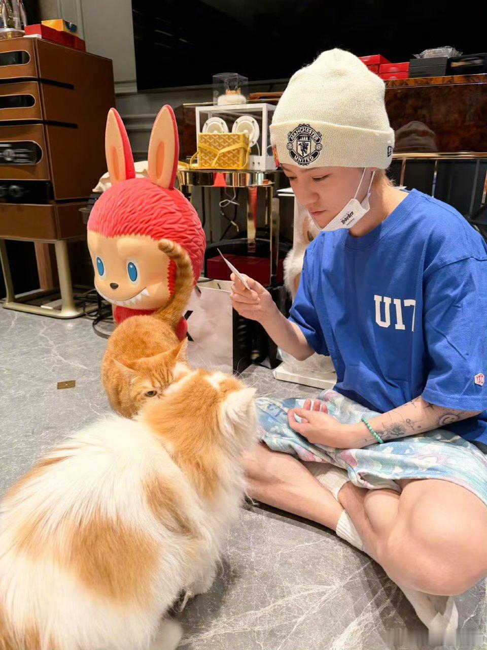 鹿晗先给哪个小猫吃鹿晗和小猫都太萌啦！都给它们吃！鹿晗和小猫我都笑纳了～