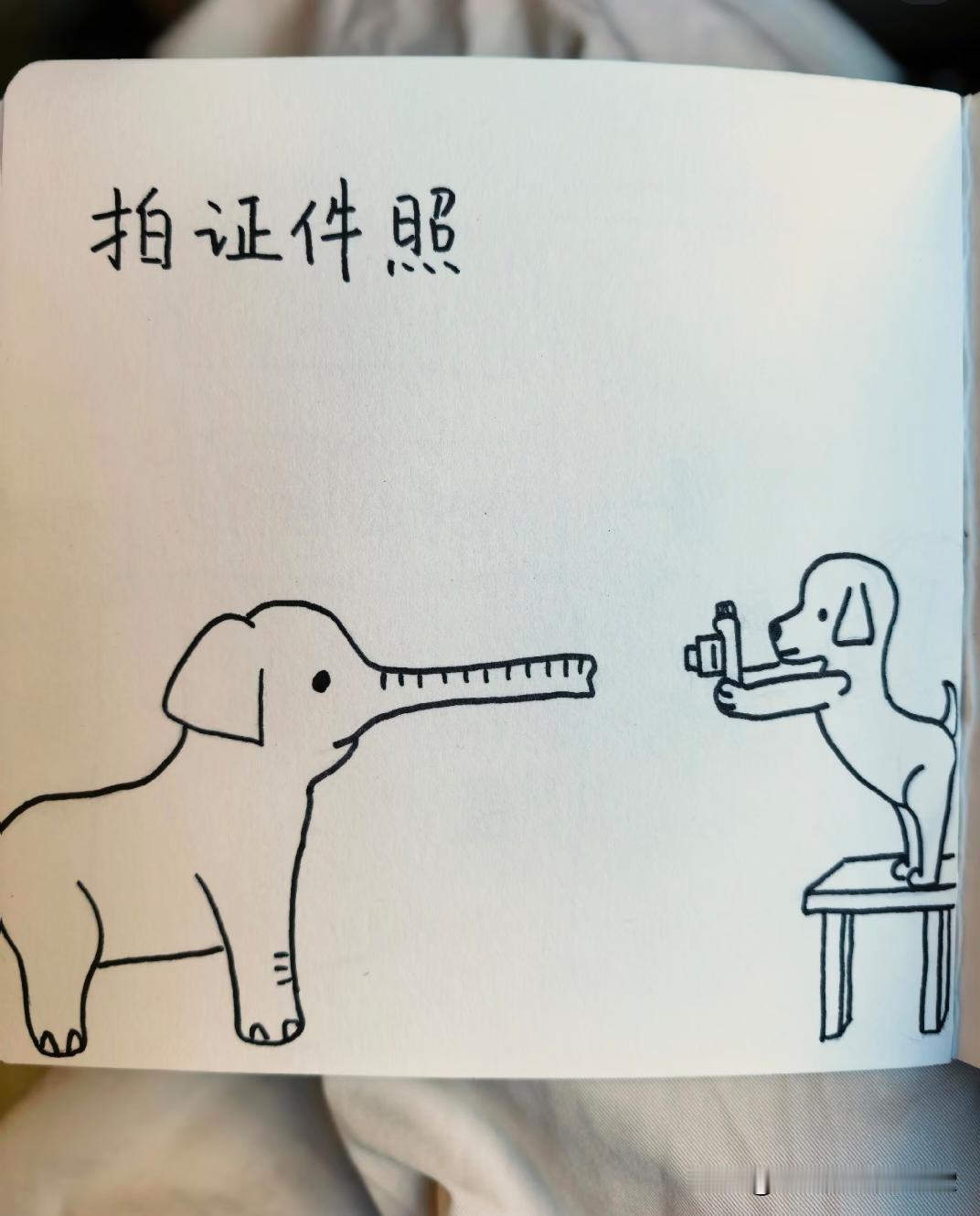 哈哈哈哈，小狗的腰身也是令人羡慕的