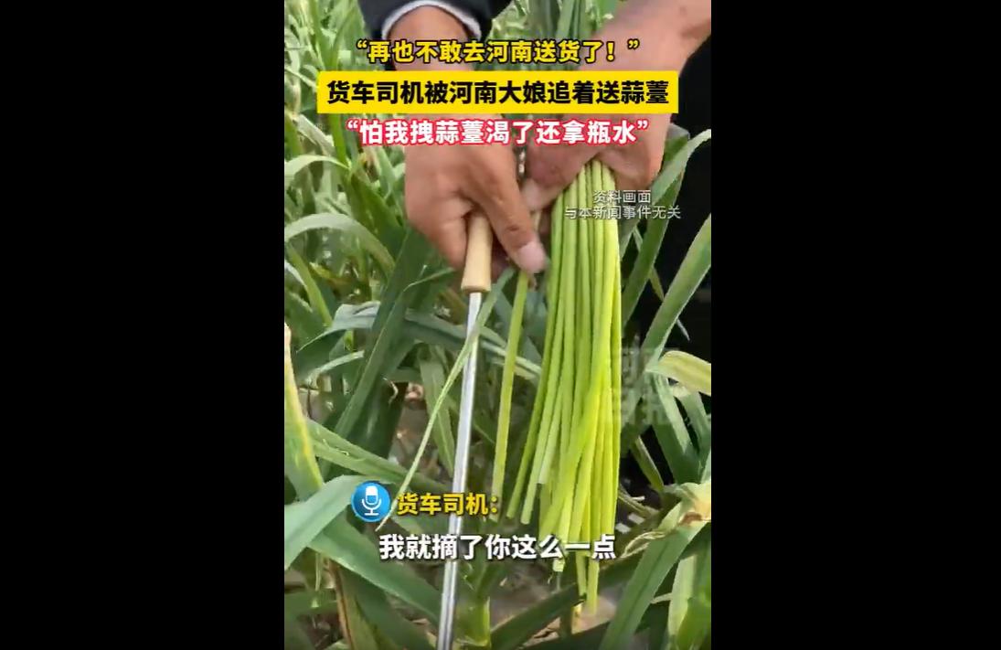近日，河北货车司机申师傅在河南安阳送完货后，准备去拉新的蒜薹订单，途中看到路边堆