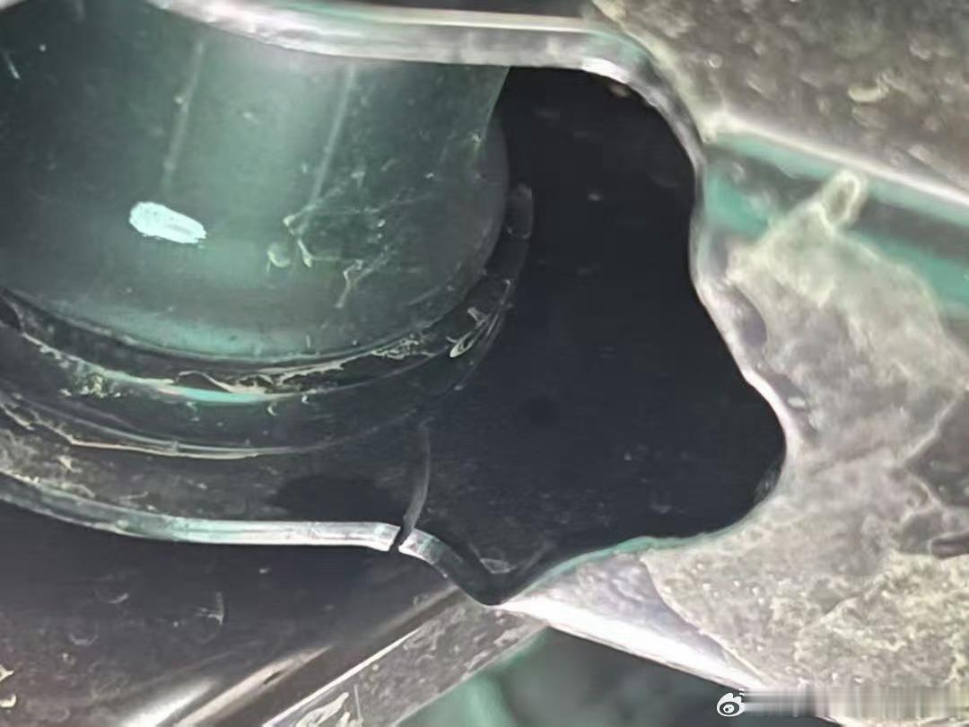 我非常奇怪，一向对热点新闻非常敏感的老胡，为什么这次对北美花生这种被微博正式认证