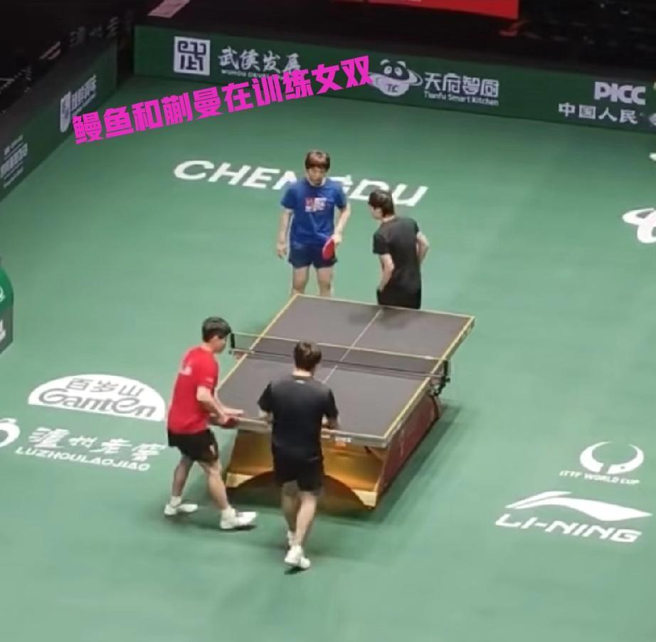 最新鲜的王曼昱来了，这次和蒯曼正在练习女双，发现对面陪练的是林诗栋和梁靖昆，真的