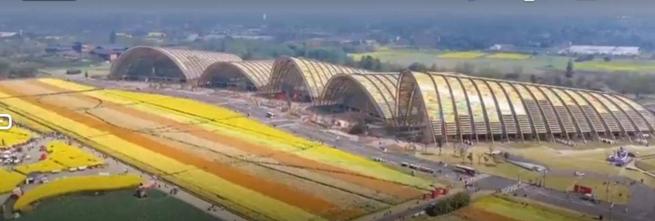 春风送暖，花海如画。金黄的油菜花田连绵成片，与田园风光相映成趣。小火车穿行其间，