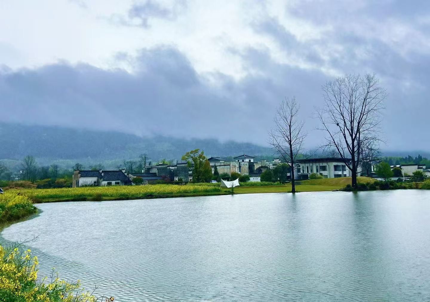 安徽黟县，徽州水墨花海美景攻略！