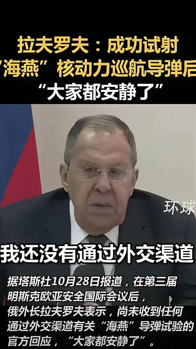 拉夫罗夫焦虑了：表示:“海燕”巡航导弹试射成功后，没有收到任何通过外交途径的官方