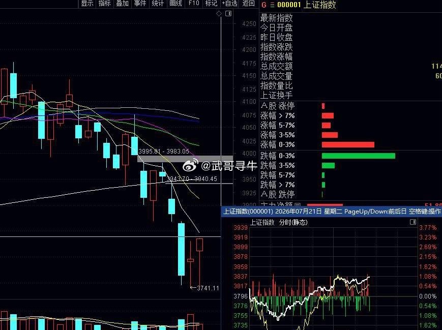 早上一度200只跌停，护盘资金拉升指数，懂得人都知道这种杀人诛心的二八分化拉升，