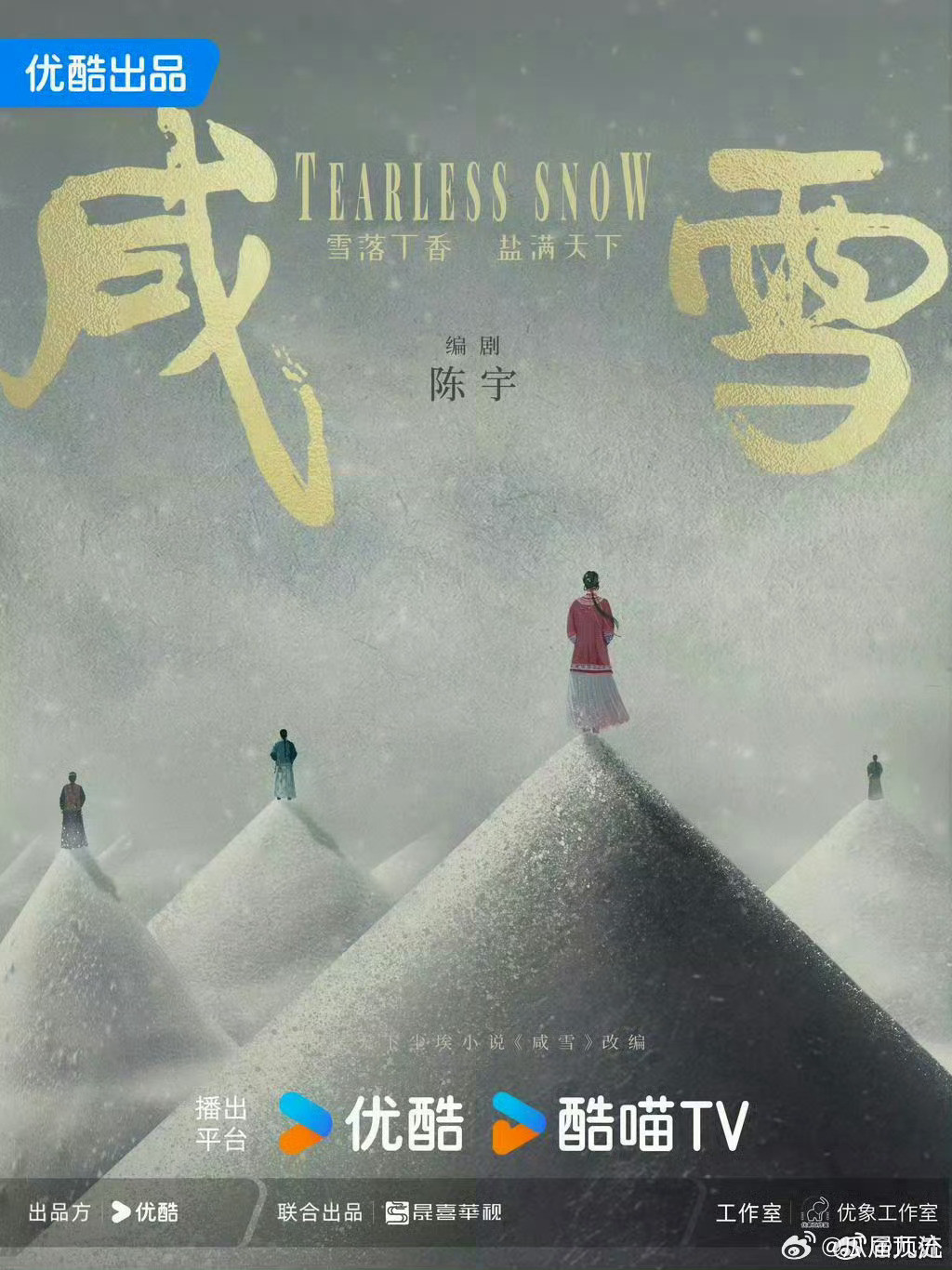 网传优酷S+《咸雪》阵容太有看点✨男主传闻几经变动，从陈晓到刘宇宁，又传朱一龙。配角网传刘奕君、秦岚