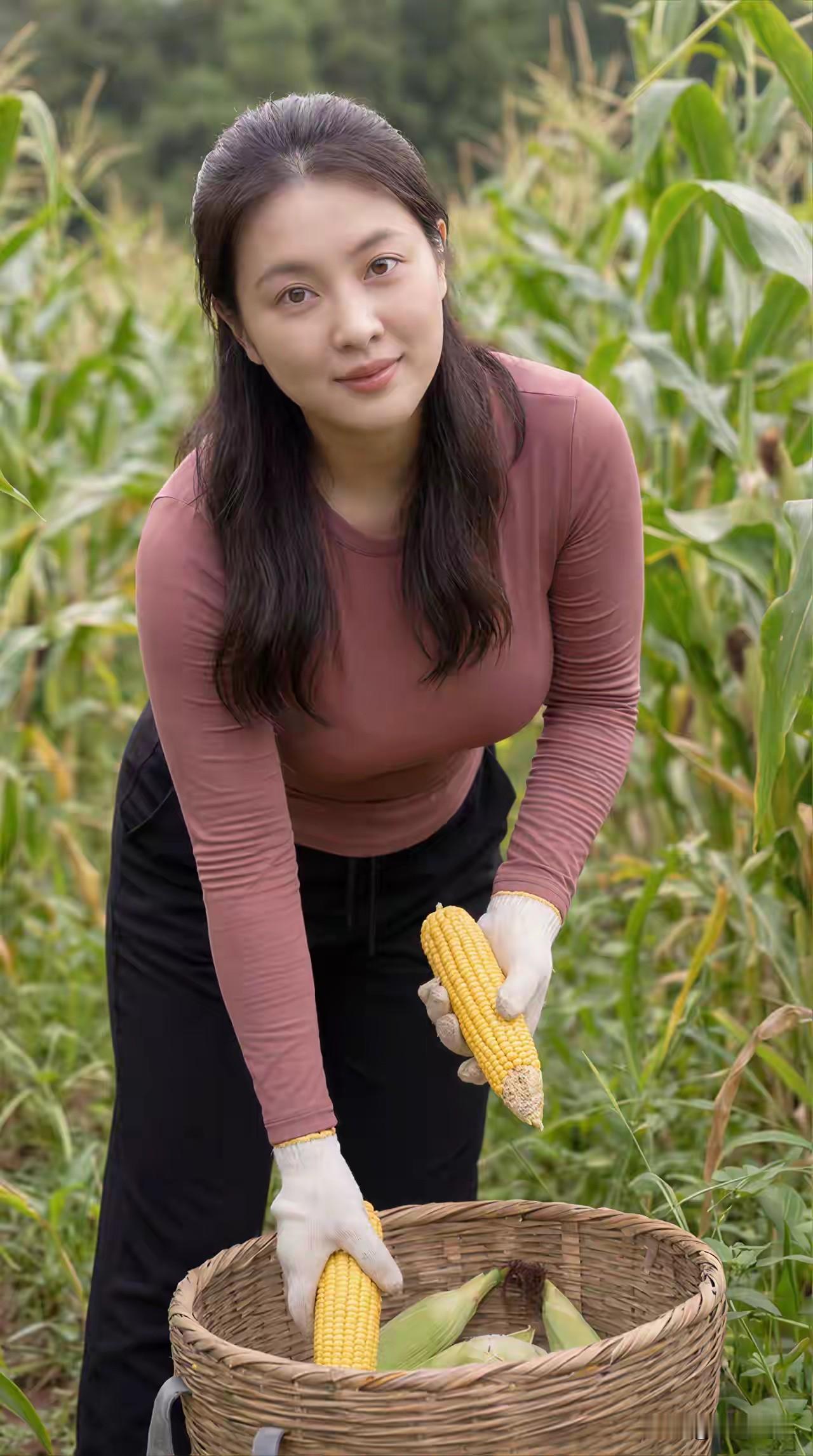 🌽亲手采摘的玉米，新鲜又美味！😋