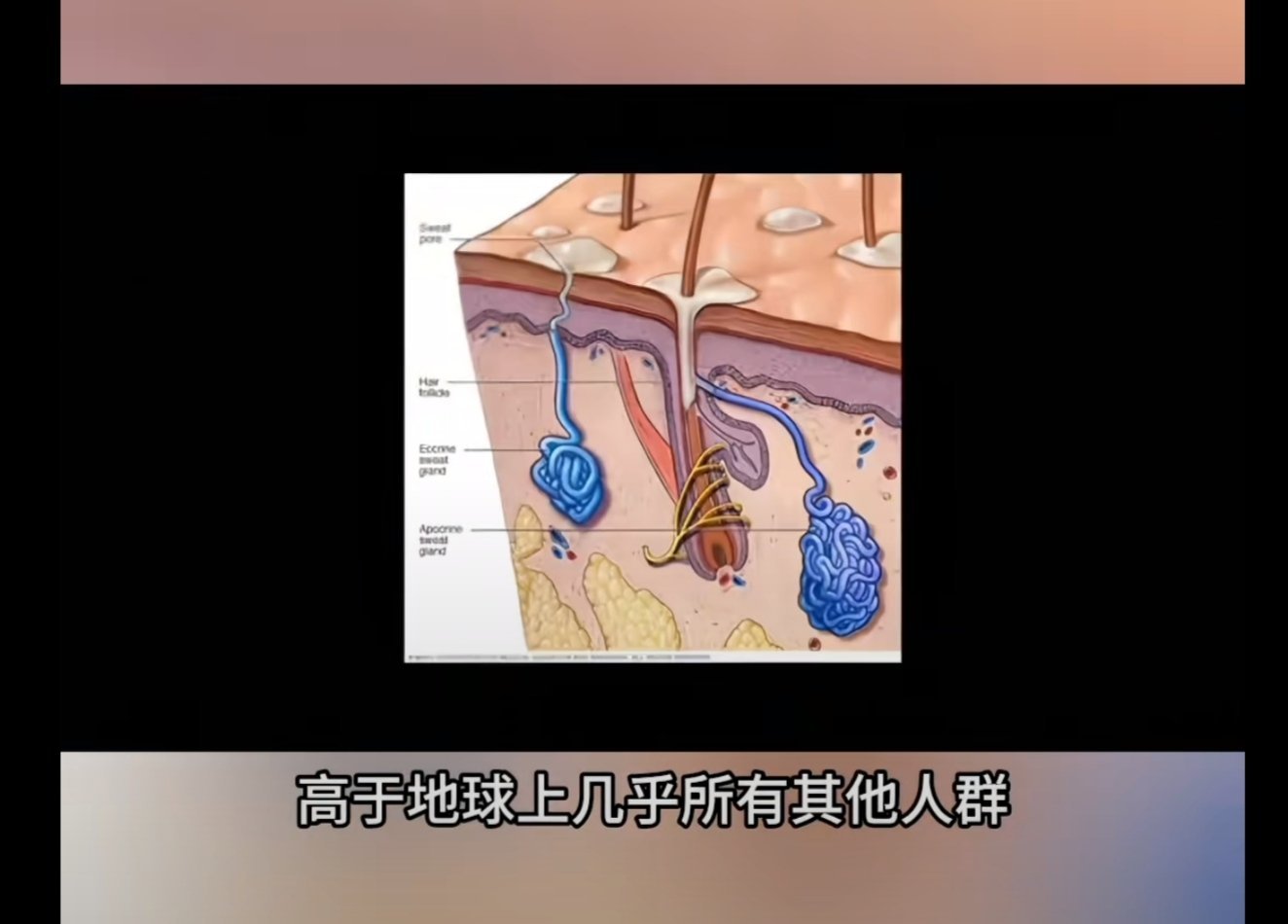 冷知识:原来我们这一支碳基生物拥有EDAR370A变异基因，让我们汗腺密度远高于