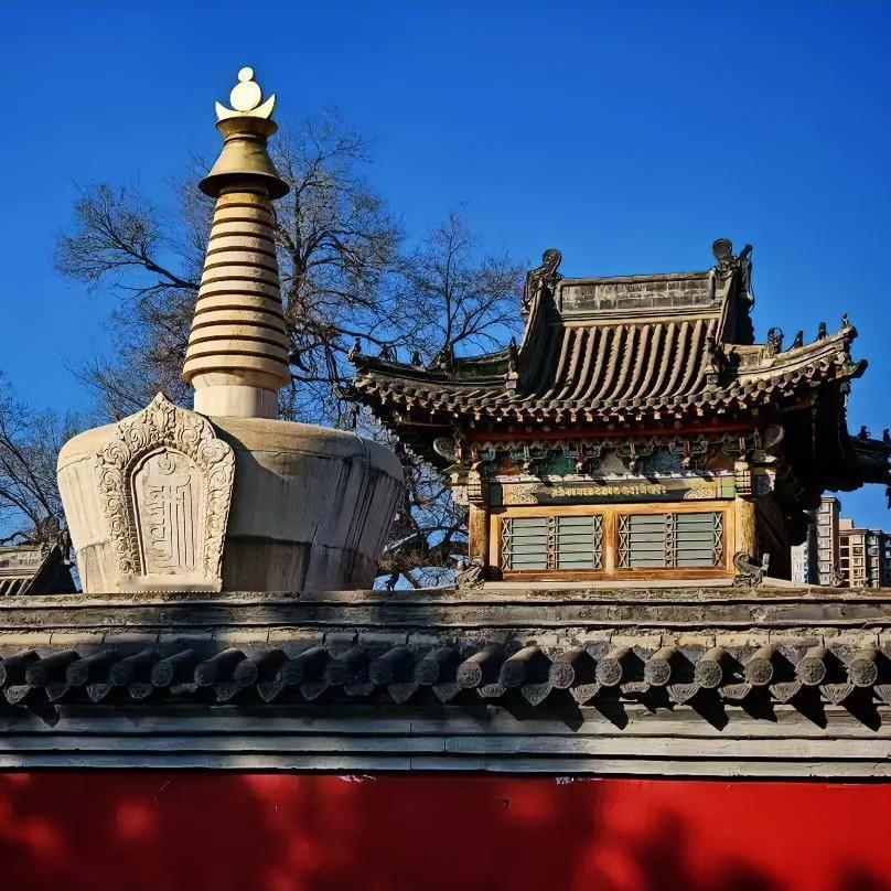 陪婆婆来取养老金，排队时看见个让人感动的一幕。一个中年女人陪着个老太太往A