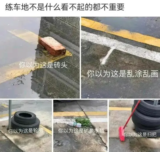 驾校的一草一木可都是教练