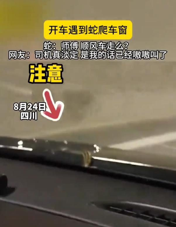 “头皮发麻！”四川，一男子开车途中，突然发现一条小蛇从发动机舱里钻了出来，先是爬