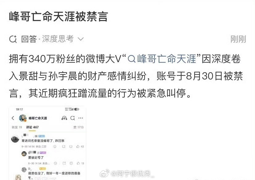 峰哥亡命天涯被禁言峰哥大概率是因为这两条博文被禁言的。​​​