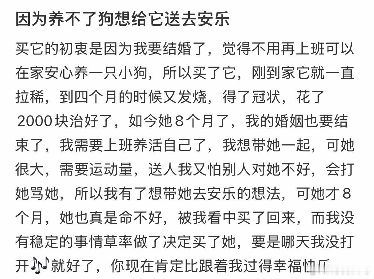 因为养不了狗想给它送去安乐