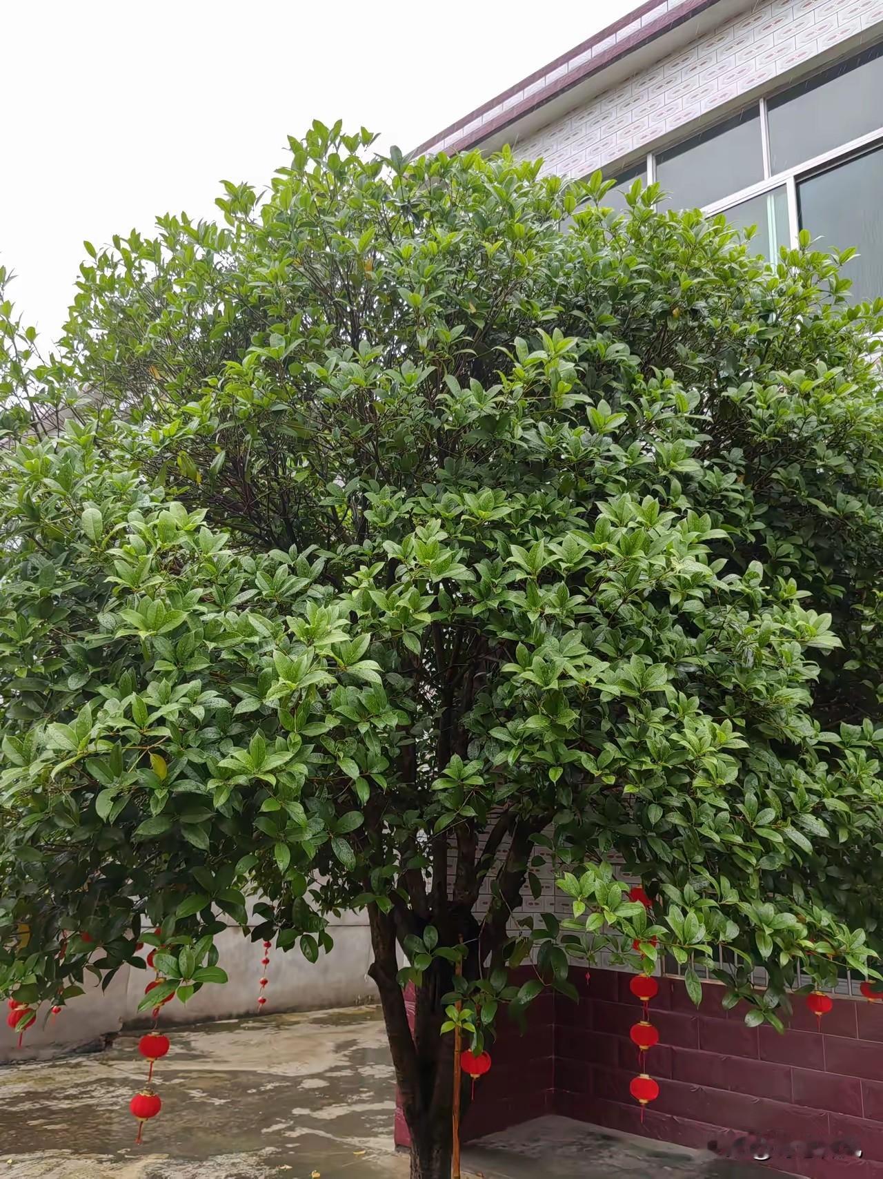 现在的老人，真没多少人喜欢你，包括你的儿女。你存款再多，退休金再高，他们喜欢的