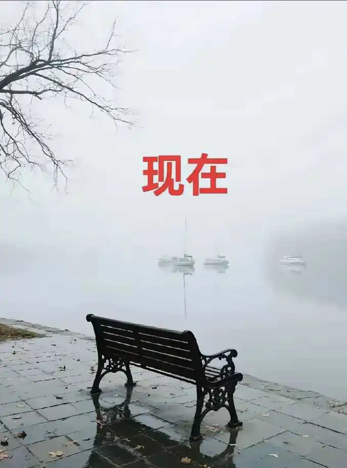 西湖的围栏为什么不安围栏？
