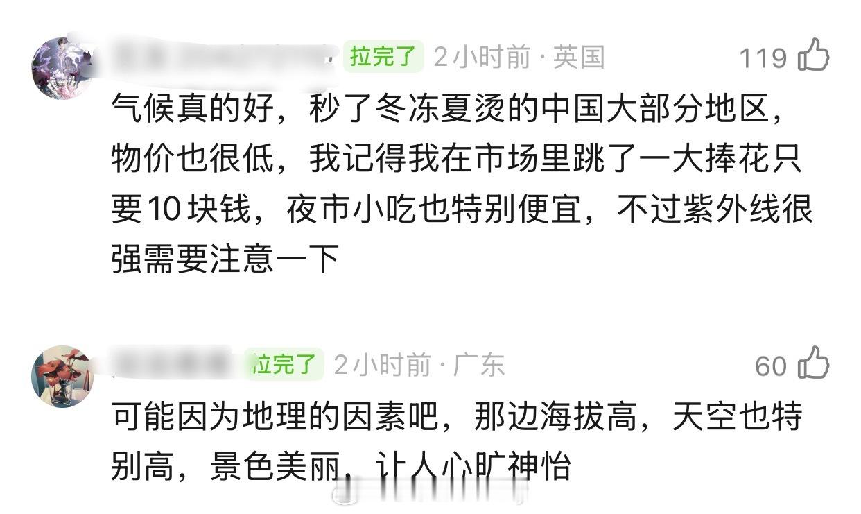 真的辞职了都想去云南吗