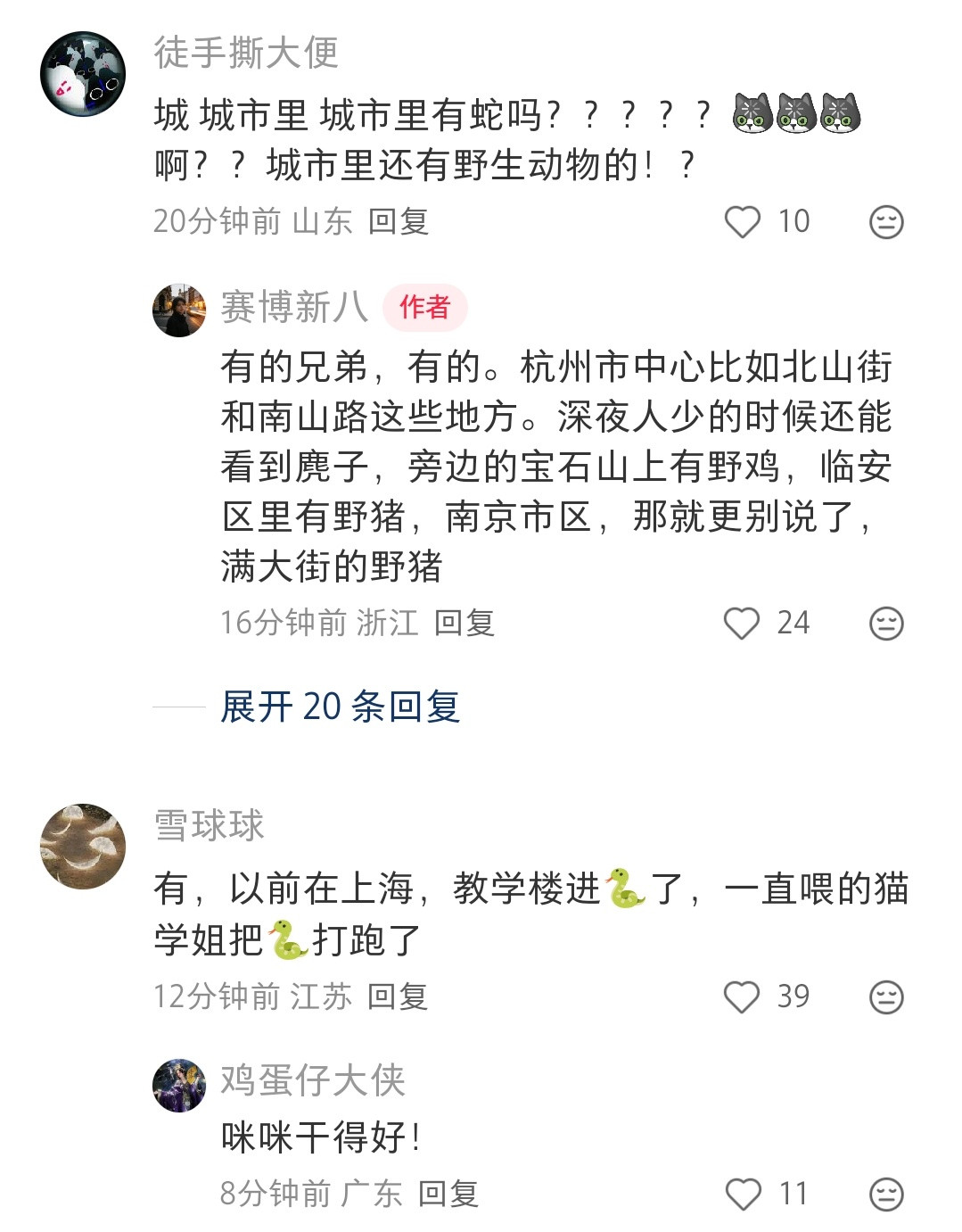 啊😲这种草丛里有蛇？