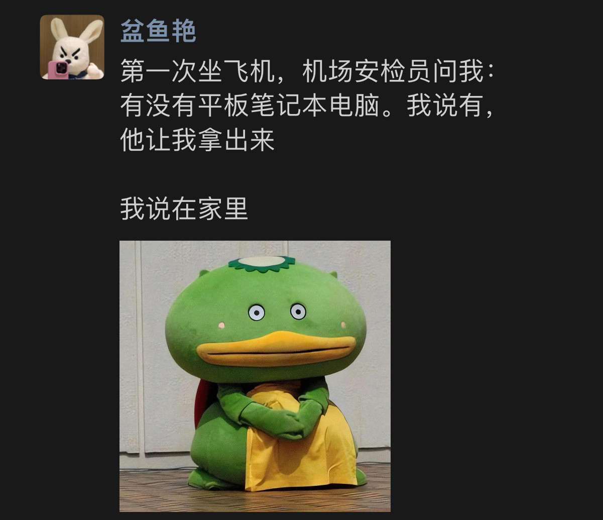 《当机场安检员问我有没有平板》春日放个疯​​​