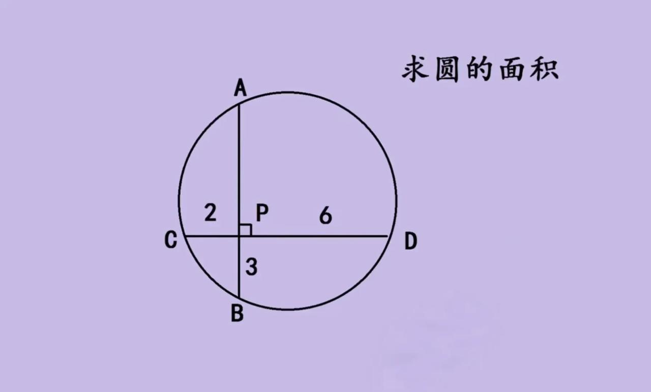 看这道中考数学求圆面积的几何题！圆里有两条互相垂直的弦AB和CD，交点