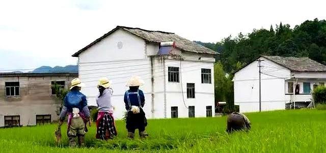 新规来了！农村宅基地继承有说法，2025年都按这方式处理这里有个重点要敲黑板！