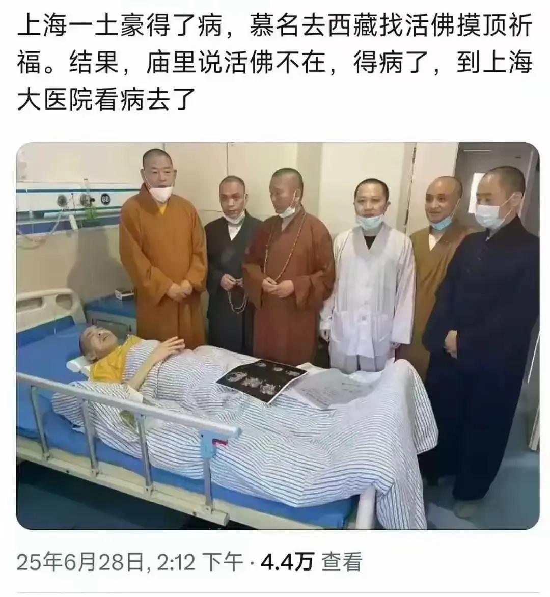 哈哈哈哈，不错不错[汗]