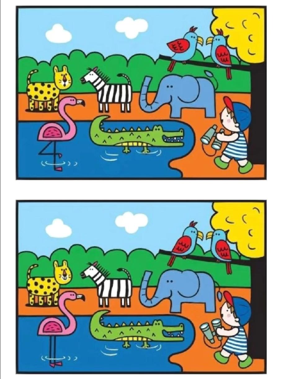 这动物园找不同把我看瞎了！盯了6分钟才找1处，你能比我眼尖吗？敢来挑战！